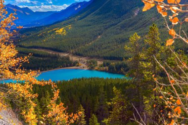 Peter Lougheed İl Parkı 'nın dağ vadisindeki Kananaskis Nehri' nin masmavi buzlu suyu. Kanada Kayalıkları 'nda verimli bir sonbahar. Aktif, ekolojik ve fotoğraf turizmi kavramı