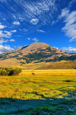 Özel bir çiftliğin büyük bir mülkü uzak dağlarla çevrilidir. Çim alanı yeraltı kaynaklarından gelen akıntılarla kaplıdır. Arjantin Patagonya 'sı. Egzotik ve aktif turizm kavramı