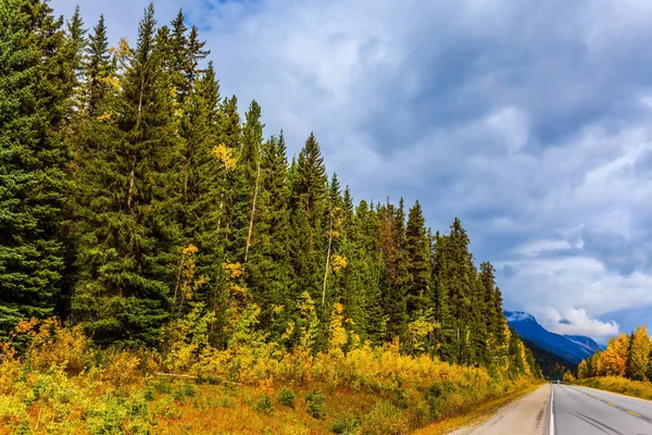 Carretera Pasa Entre Los Bosques Coníferas Otoñales Multicolores Viaje Cuento —  Fotos de Stock