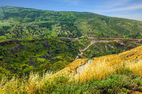 以色列和约旦的国家边界 春天盛开的戈兰高地 源于火山的高山高原 深谷边的路 积极和摄影旅游的概念 — 图库照片