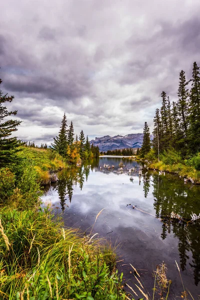 Céu Nublado Refletido Superfície Água Lisa Lagos Abetos Montanhas Canadá — Fotografia de Stock