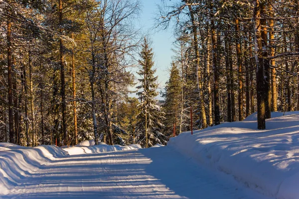 Ormanda Geniş Karlı Bir Yol Dünyanın Kuzeydeki Hayvanat Bahçesi Finlandiya — Stok fotoğraf