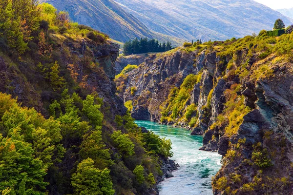 River Bright Water Incredible Adventures New Zealand Picturesque Gorge River — Stock Photo, Image