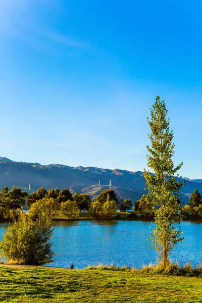 Enorme Lago Tranquillo Sulla Strada Queenstown Mattina Presto Alba Macchie — Foto Stock