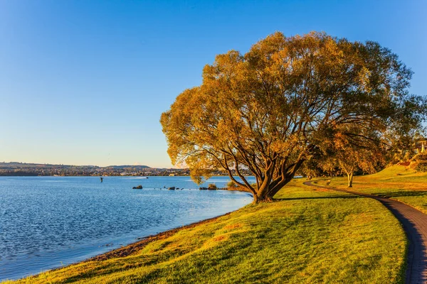 Fantastisk Sommarsolnedgång Vid Tauposjön Stranden Målad Solnedgång Orange Färg Begreppet — Stockfoto