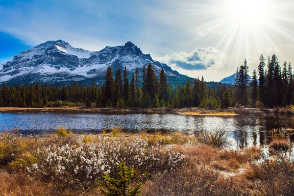 秋の太陽の光が最初の雪を照らす カナダのロッキー山脈 黄色の草で覆われた浅い湖 アクティブ 写真観光の概念 — ストック写真
