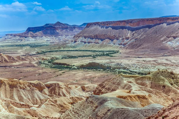 Wąwóz Pustynny Kanion Ein Avdat Cudowna Wiosna Izraelu Piękny Ciepły — Zdjęcie stockowe