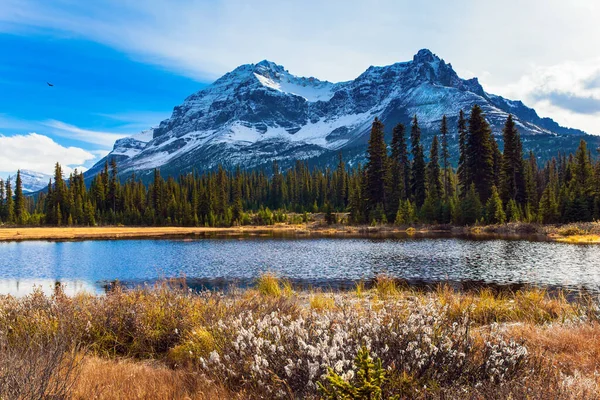 Montagnes Rocheuses Canada Les Rayons Soleil Automne Illuminent Première Neige — Photo