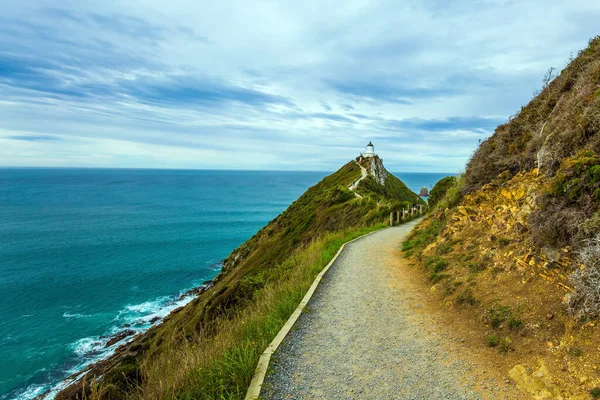 New Zealand Direct Path Protected Fence Leads Lighthouse Nugget Point — Stock Photo, Image