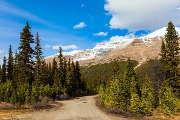 Údolí Úpatí Jezera Peyto Podzimní Cesta Skalistých Hor Kanadě Koncept — Stock fotografie
