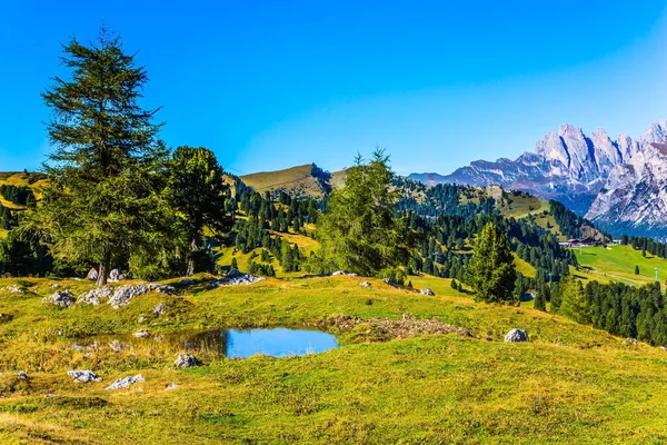 Talyan Dolomitlerinin Görkemli Beyaz Gri Kayaları Küçük Birikintisi Mavi Gökyüzünü — Stok fotoğraf