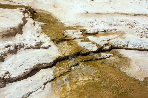 这条路线的起点在埃文阿夫达特峡谷的深处 以色列内盖夫沙漠的阳光灿烂的春天 积极和光旅游业的概念 — 图库照片