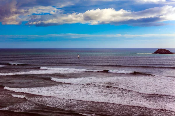 Muriway Beach Svart Sandstrand Nordöns Västkust Nya Zeeland Södra Halvklotets — Stockfoto