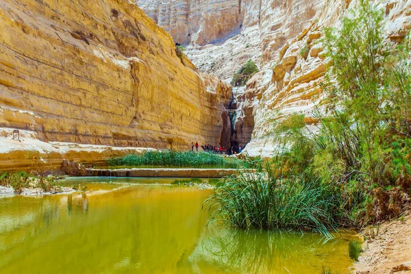 Creek Zin Coule Travers Canyon Ein Avdat Dans Désert Néguev — Photo