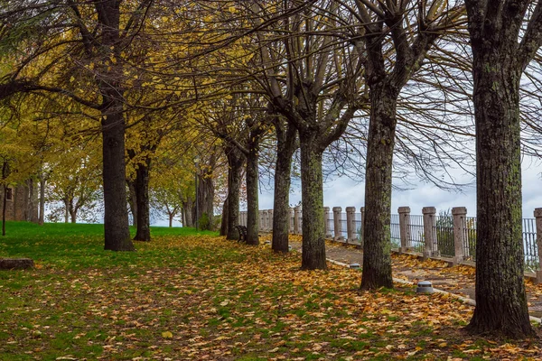 Őszi Hangulat Montalcino Egy Kisváros Toszkánában Városi Park Aktív Fotóturisztikai — Stock Fotó