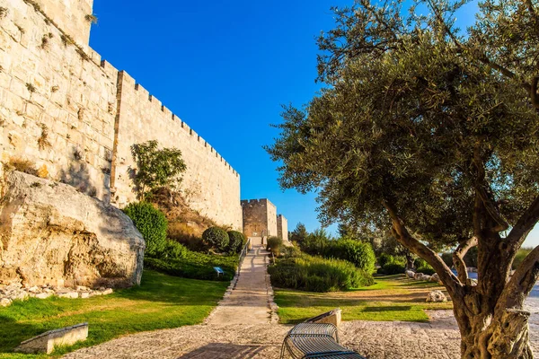 Fästningsmuren Det Gamla Jerusalem Stenlagd Gångväg Genom Grön Gräsmatta Varm — Stockfoto