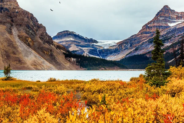 Kanadyjskie Góry Skaliste Czerwona Żółta Pomarańczowa Jesienna Trawa Brzegu Jeziora — Zdjęcie stockowe