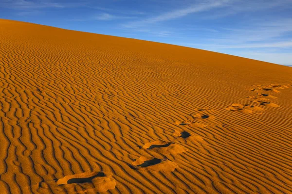 Kumda resimli ayak izleri zinciri. Mesquite Düz Kum tepeleri, Kaliforniya. ABD. Çölde turuncu gün batımı. Etkin, ekolojik ve fotoğraf turizmi kavramı