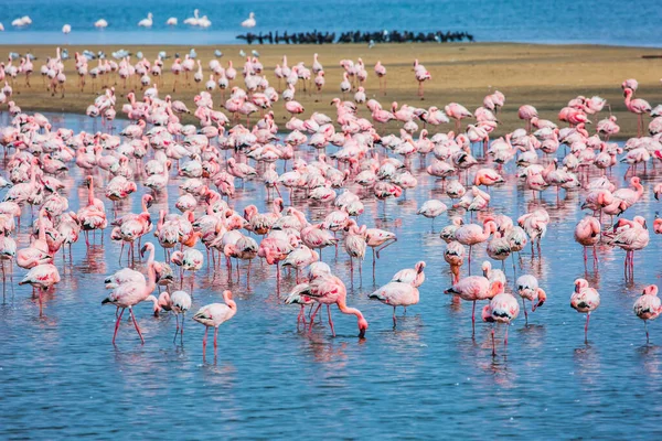 Concept Tourisme Écologique Actif Photo Lever Soleil Swakopmund Afrique Tôt — Photo