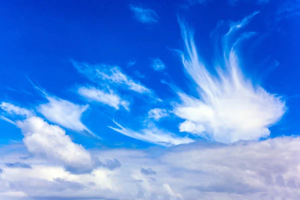 Cirrostratus Cllouds Van Grillige Vormen Blauwe Lucht Van Australië Reis — Stockfoto