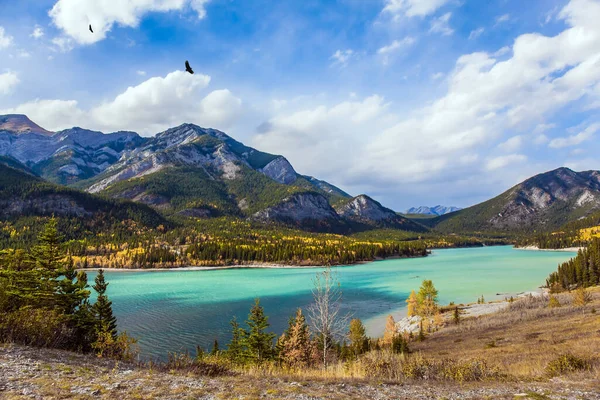 Saftiger Bunter Herbst Den Kanadischen Rocky Mountains Das Tal Und — Stockfoto