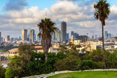  Tel Aviv 'in muhteşem manzarası. Tepedeki palmiye ağaçları 