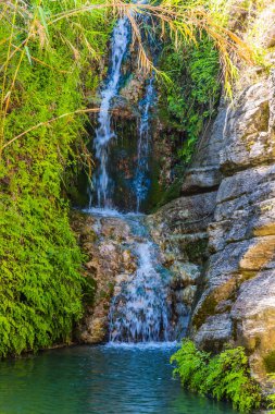 Ekolojik turizm kavramı. Turkuaz suyu ve şelalesi olan küçük serin bir gölet.