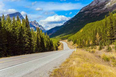  Kanada Kayalıkları 'nda verimli bir sonbahar. Rocky Dağı 'nda Kananaskis otoyolu. Peter Lougheed Park 'ın dağ vadisi. Aktif, ekolojik ve fotoğraf turizmi kavramı