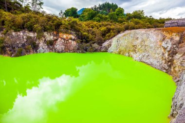Rotorua 'nın eşsiz jeotermal alanı. Parlak yeşil suyu olan Şeytan Hamamı. Volkanik Vadi Waimangu, Wai-O-Tapu. Yeni Zelanda, Kuzey Adası. Aşırı, egzotik ve fotoğraf turizmi konsepti