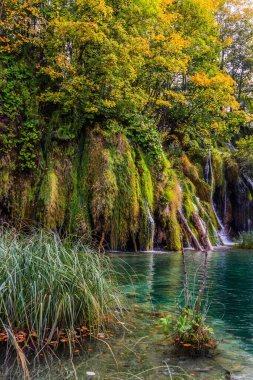 Hırvatistan. Ekolojik, aktif ve fototürizm kavramı. Karst Plitvice Gölleri 'nin muhteşem ülkesine git. Birçok küçük şelale gök mavisi suya düşer.