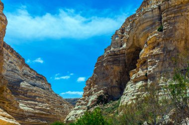İsrail 'de harika bir bahar. Negev Çölü 'ndeki Ein Avdat Kanyonu. Vadinin kumtaşı yamaçlarındaki manzaralı mağaralar. Ekolojik, aktif ve fototürizm kavramı