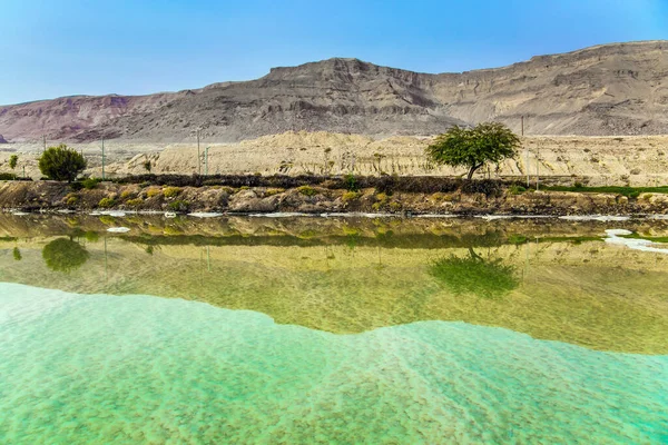 有名な癒しの死海 イスラエルだ 冬の朝の霧 海岸の木々は水面に反射している 生態写真観光の概念 — ストック写真