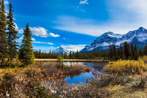 秋天的太阳照亮了第一场雪 加拿大落基山脉 浅浅的湖里长满了黄色的草 生态和摄影旅游的概念 — 图库照片