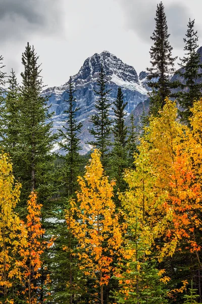 Muhteşem Kuzey Sonbaharı Kanada Nın Rocky Dağları Aktif Çevresel Fotoğraf — Stok fotoğraf