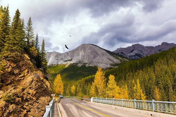 Fairytale加拿大 杨树和桦树的橙色 黄色和红色叶子 通向Miette温泉的路 落基山脉的温泉 生态和摄影旅游的概念 — 图库照片