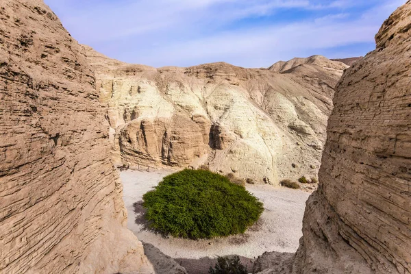 Canyon Pedra Pitoresco Nas Montanhas Deserto Judéia Costa Mar Morto — Fotografia de Stock