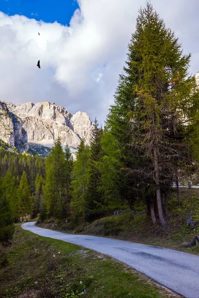 Asfaltová Cesta Hejno Stěhovavých Ptáků Průsmyk Falzarego Nachází Dolomitech Severně — Stock fotografie