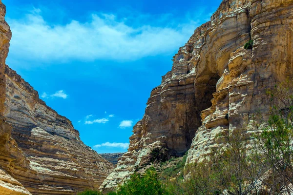 Magnifique Printemps Israël Canyon Ein Avdat Dans Désert Néguev Grottes — Photo