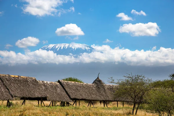 stock image Bamboo covered walkway to the cottages. Camping at the foot of Mount Kilimanjaro. The snow peak of Kilimanjaro. Amboseli Park, Kenya. The concept of exotic, ecological and photo tourism