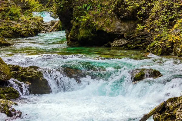 Cachoeiras Borbulhantes Pitorescas Corredeiras Rio Montanha Radovna Eslovénia Desfiladeiro Vintgar — Fotografia de Stock