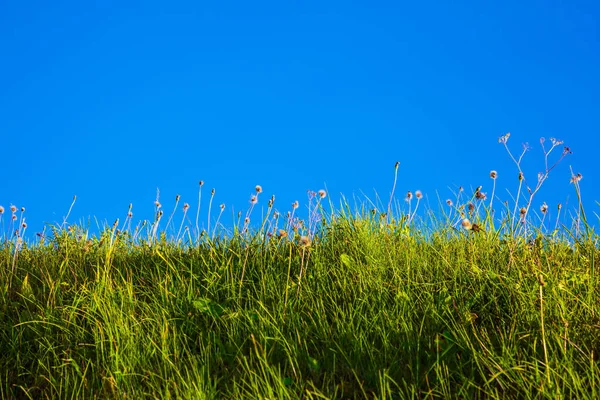 Helling Van Het Ravijn Begroeid Met Gras Foto Genomen Vanaf — Stockfoto