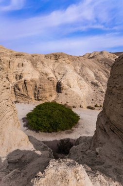 Ekolojik, aktif ve fotoğraf turizmi konsepti. Judean Çölü 'nün dağlarındaki görkemli taş kanyon. Geniş toprak yol ve yağmurdan sonra çiçek açan çöl akasyası. Ünlü Ölü Se 'nin sahili.