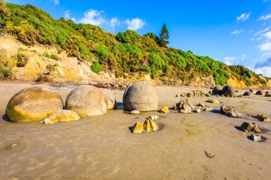 Pasifik Okyanusu 'ndaki kumsal, Yeni Zelanda. Devasa yuvarlak kaya parçaları grubu Moeraki ve kalıntıları. Popüler turist merkezi. Egzotik ve ekolojik turizm kavramı