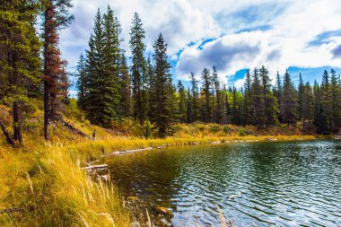 Kanada 'nın Rocky Dağları. Orman ve sarı kuru sonbahar otlarıyla çevrili sessiz sığ bir göl. Ekolojik, aktif ve fotoğraf turizmi kavramı