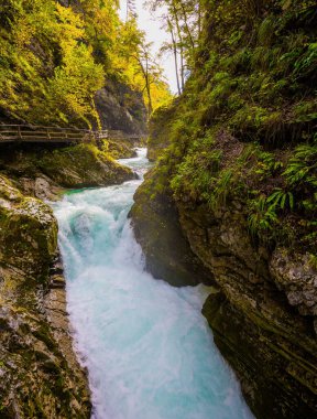 Vintgar geçidi. Slovenya. Dağ nehrinde kaynayan şelaleler. Vadinin yamaçlarında korkuluklu ahşap geçitler vardı. Gün batımı kaynayan akıntıyı aydınlatır. Aktif ve fotoğraf turizmi kavramı