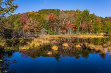 Fransız Kanada 'sında muhteşem bir tatil köyü Mont Tremblant. Göl ayna gibi pürüzsüz. Ormanların yaprakları göle yansıyor. Ekolojik turizm kavramı