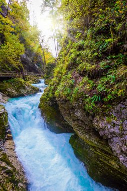 Köpüren köpüklü akıntılar ve şelaleler. Dağ nehri. Vadinin yamaçlarında korkuluklu ahşap geçitler vardı. Slovenya. Vintgar geçidi. Aktif ve fotoğraf turizmi kavramı