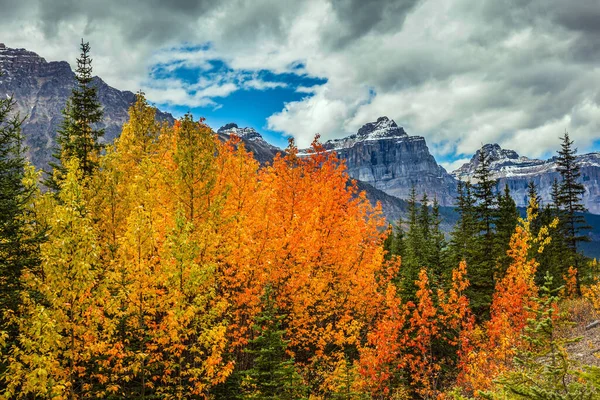 Gele Oranje Rode Herfstbladeren Sieren Het Bergachtige Landschap Rotsachtige Bergen — Stockfoto