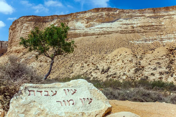 Canyon Ein Avdat Útvonal Kezdete Csodálatos Tavasz Izraelben Gyönyörű Meleg — Stock Fotó