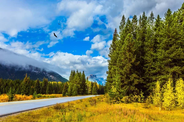 Grande Strada Attraversa Montagne Rocciose Canadesi Tramonto Foresta Sempreverde Cresce — Foto Stock